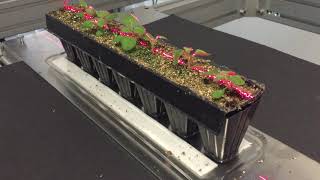 3D vision for DNA sampling robot