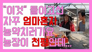 천평농사를 엄마 혼자 할수있대요...ㅠㅠ (우리농기계 바인키퍼 WR-701)