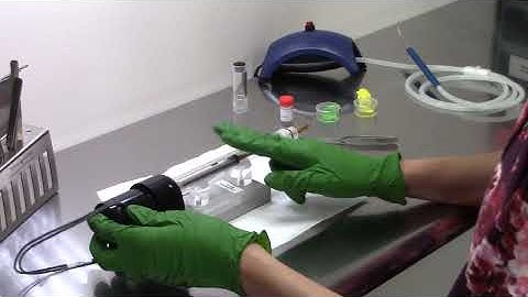 Talos TEM: Loading Sample Holders