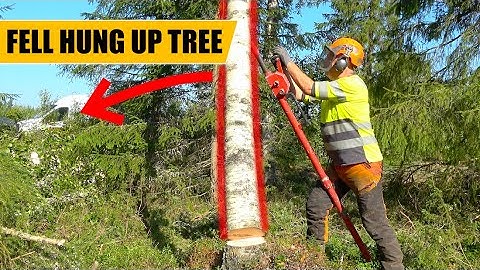 How to Bring Down a Hung-Up Tree Safely by Pushing