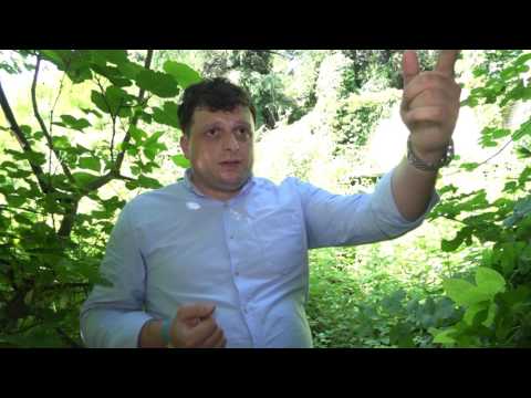 ქუთაისში ბალახვნის 100 სართულიანი კიბეები დაზიანებულია