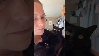 He’s always stealing the show #cats #series #shortsyoutube #funnycats