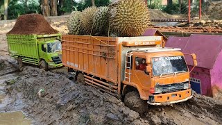 TRUK FUSO 220ps MUAT DURIAN LANGSUNG DARI HUTAN. DIIRINGI RC TRUK HINO 500 BERMUATAN TANAH by rc komuniti 24,785 views 2 months ago 9 minutes, 30 seconds