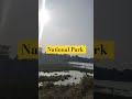 Kaziranga National Park #youtubeshorts #shorts #viral #trending #travel #dailyshorts #latest #funny