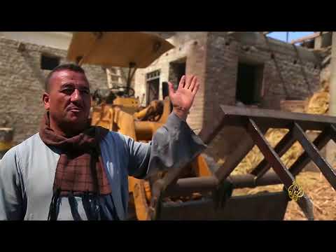 هذا الصباح مراحل تصنيع العسل الأسود المصري