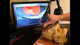 steve visualization video