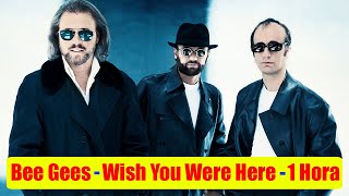 Bee Gees  Wish You Were Here  1 Hora De Msica