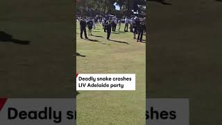 Poisonous Snake Trolls LIV Golf Adelaide