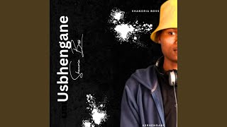 USBHENGANE (Extended Version)