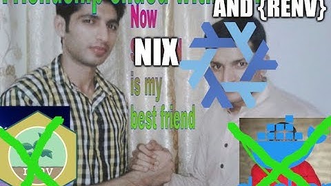 Reproducible R development environments with Nix