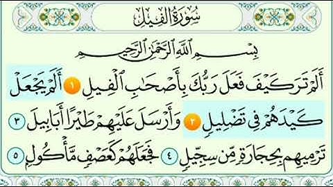 سورة الفيل من الآية ١ إلى الآية ٢
