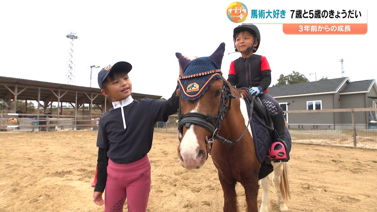 介護疲れページ☆　馬子供2匹プラス Equestrian siblings, ages 7 and 5, 