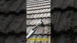 Removing Roof Moss using Long Handle Scraper Tool to Restore Surface Cleanliness