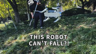 This Robot Dog Can't Fall ?!