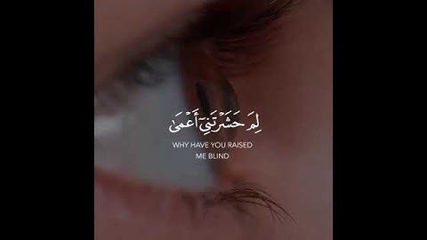 ومن أعرض عن ذكري فإن له معيشة ضنكا ونحشره يوم القيامة أعمى | سورة طه | القارئ شريف مصطفى