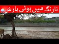 It rained in narang  narang main hoi barish   shahzeb munir vlog