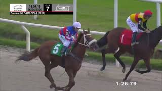 Vidéo de la course PMU PREMIO MI CARABELA (2019)