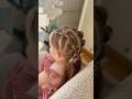 Easy hairstyle tutorial for girls 🎀 #hairstyleforgirls #hairtutorial #babygirl #hairstyle #прически