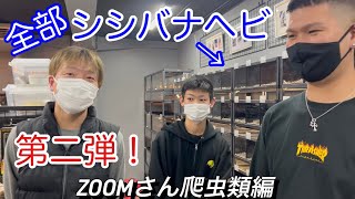 神戸zoomさん訪問！　- 爬虫類編 -