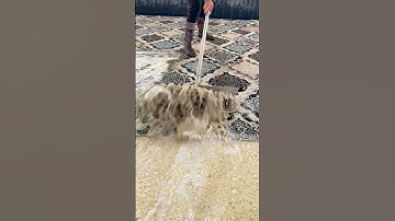 FOAM ASMR SCRAPING  #asmr #satisfying #shorts