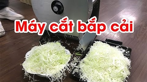 Máy thái salad bắp cải mới, thái nhanh hơn, giá rẻ hơn