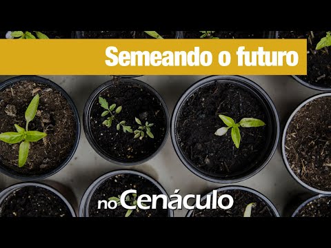 Semeando o futuro | no Cenculo 05/03/2021