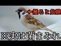 【閲覧注意】知らない方がいい雑学に色々言ってみたwwww