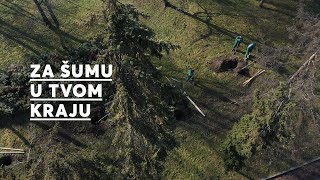 Za šumu u tvom kraju