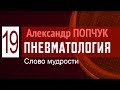 Олександр Попчук. Пневматологія 19. Слово мудрості