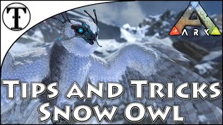Руководство по быстрому приручению снежной совы :: Ark: Survival Evolved Tips and Tricks