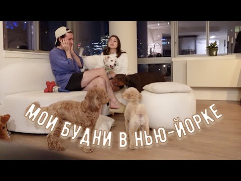 Видео: VLOG 4 БУДНИ, ШОППИНГ (снова), ВЕЧЕРИНКА ОТ КЕНДАЛЛ