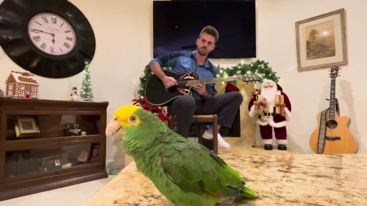 Nothing Else Matters (feat Matthew Maglio)