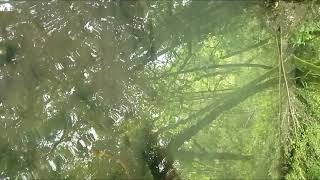 Josh Terzi - Euphoric Echo