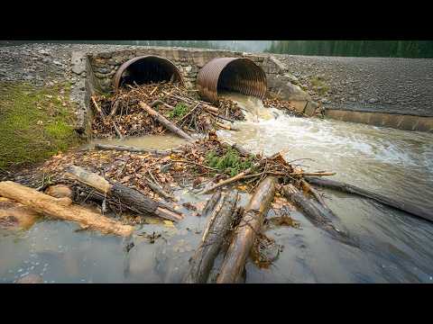 Epic Drain Cleanup Operation Clears Massive Water Backup
