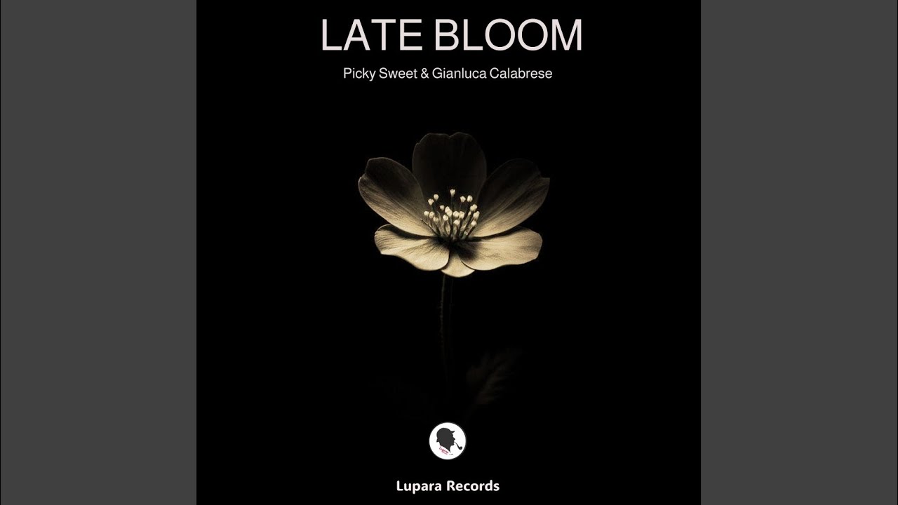 Watch Late Bloom on YouTube Watch Late Bloom on YouTube