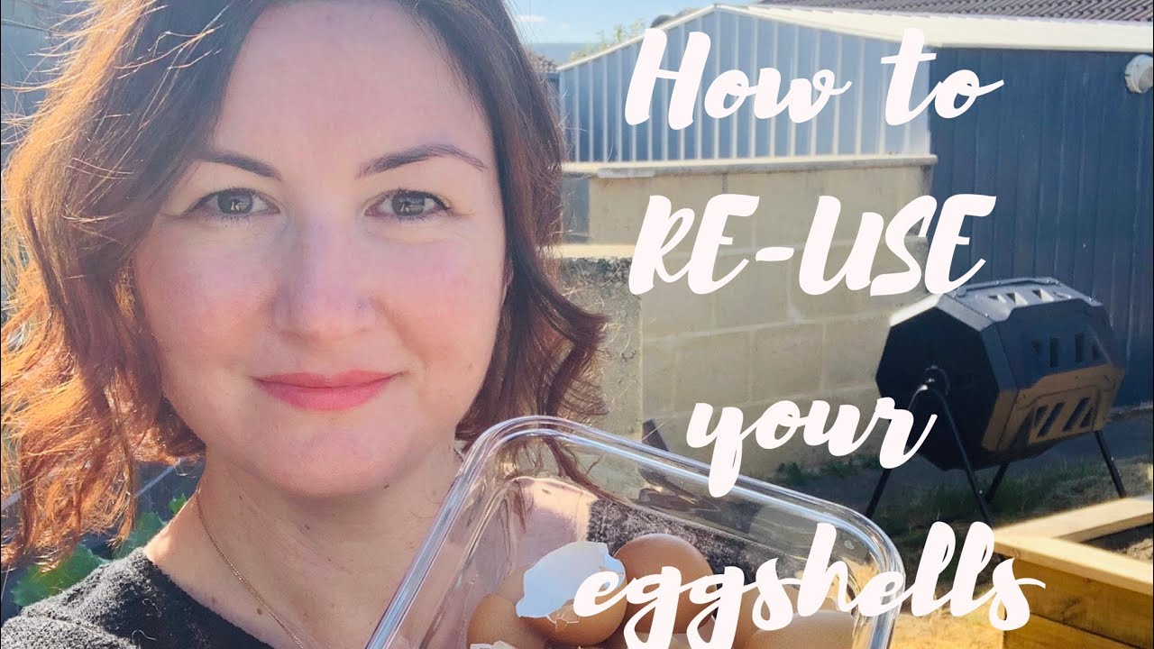 Produce no waste - eggshell hacks for your home and garden 🐣