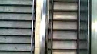 No Tango No Mercy 12.8.09 No Vision No Victory Artddorf.de