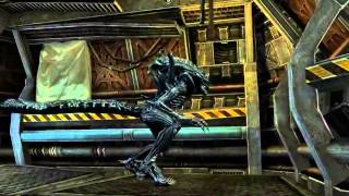 AVP Evolution   Launch Trailer