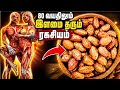 வேர்க்கடலை சாப்பிடுவதால் நடக்கும் அதிசயம் | Health benefits of Fried Groundnuts Tamil