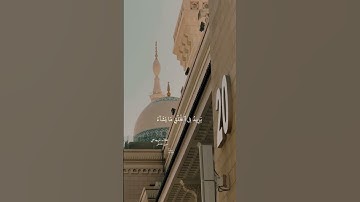 القارئ علاء المزجاجي