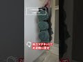 【大人気towerシリーズ★】脱衣所で大活躍のアイテム5選!【便利収納◎】#shorts