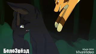 картинка: Остролистая-Hollyleaf[Коты Воители-Cats Warriors (Derniere Dance)]
