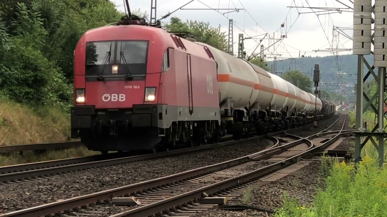 Rechtes Rheintal am 1.8.24 bei Bad Honnef