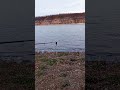 Рыбалка