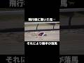 飛行機に驚いた馬から落馬してしまう… #shorts #競馬 #ギャンブル #投資 #競艇 #パチンコ #おすすめ