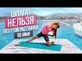 Важная РАСТЯЖКА ДЛЯ НАЧИНАЮЩИХ на все тело перед тем, как сесть на шпагат | Стретчинг