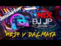 Mix Ñejo y Dalmata - Lo Mejor de Ñejo y Dalmata (Old School Reggaeton) By Juan Pariona | DJ JP