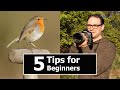 Wildlife photography for beginners 5 tips with paul miguel photography