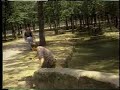 reporter attack by llama AOTS