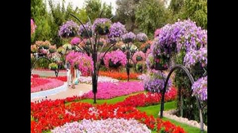 سورة مريم كاملة بصوت القارىء احمد فخرو